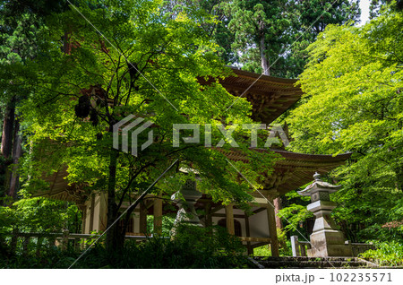 大雄山 最乗寺 山門 大雄山 最乗寺 山門 102235571