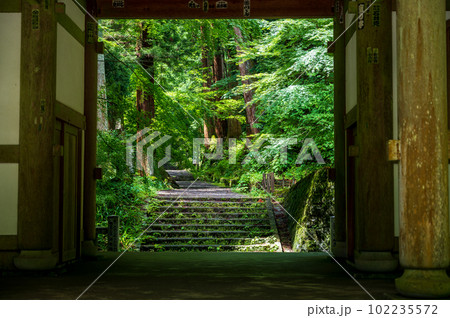 大雄山　最乗寺　山門 102235572