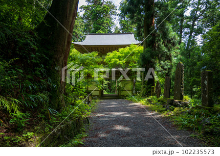 大雄山 最乗寺 山門 大雄山 最乗寺 山門 102235573