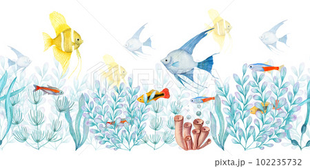 Watercolor seamless banner of yellow, blue angelfishes among plants isolated on white background. For greeting card design, menus, background, prints, wallpaper, fabric, textile, wrapping. Watercolor seamless banner of yellow, blue angelfishes among plants isolated on white background. For greeting card design, menus, background, prints, wallpaper, fabric, textile, wrapping. 102235732