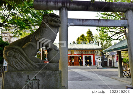 池袋氷川神社　東京都豊島区池袋本町 102236208