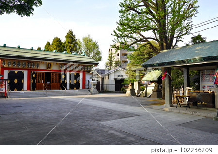 池袋氷川神社　東京都豊島区池袋本町 102236209