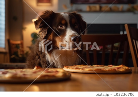 dog stealing the pizza from the table illustration generative ai dog stealing the pizza from the table illustration generative ai 102236706