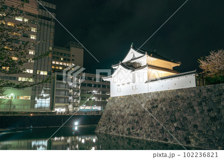 Sunpu Castle Park night scenery in Shizuoka, Japan 102236821