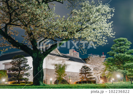 Sunpu Castle Park with cherry blossoms at night in Shizuoka, Japan 102236822