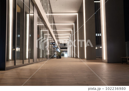 海老名駅前のビナガーデン前のおしゃれ道 102236980