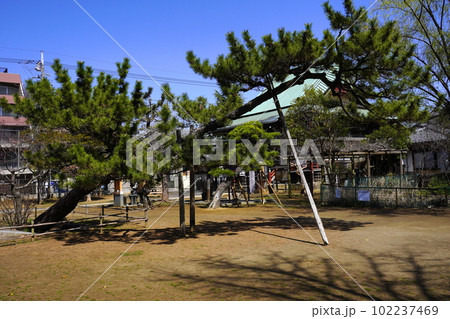 手児奈霊神堂 千葉県市川市真間 手児奈霊神堂 千葉県市川市真間 102237469