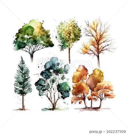 Watercolor tree hand draw vector nature painting 102237509