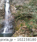 滝と椿. 102238180
