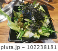 チョレギサラダ 102238181