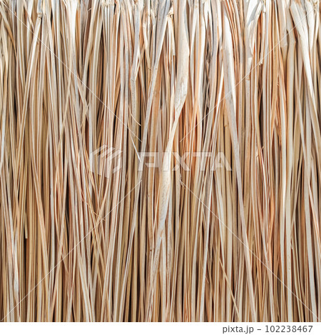 Close up of thatch roof or wall background. Tropical roofing on beach. High quality photo Close up of thatch roof or wall background. Tropical roofing on beach. High quality photo 102238467
