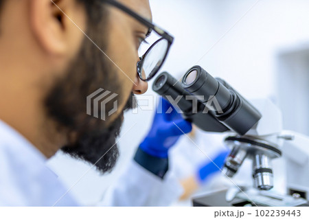 Scientist conducts experiments, adjusts specimen in petri dish and looking on it into microscope 102239443