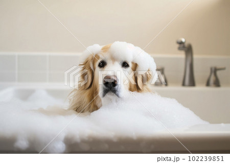 Washing pet. Cute dog in bath with shampoo foam. Generative AI 102239851