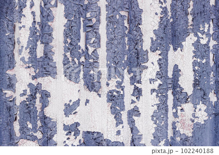 Vintage weathered corrugated metal sheet surface. Grey peeling paint texture, background 102240188