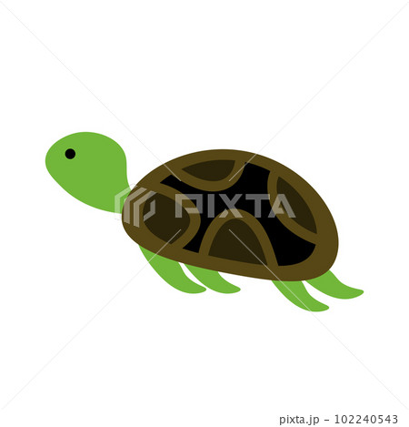 Big green sea turtle cartoon cute animal design ocean tortoise swimming in water flat vector illustration isolated on white background EPS Big green sea turtle cartoon cute animal design ocean tortoise swimming in water flat vector illustration isolated on white background EPS 102240543