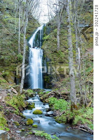 奥入瀬渓流、雲井の滝 102241728