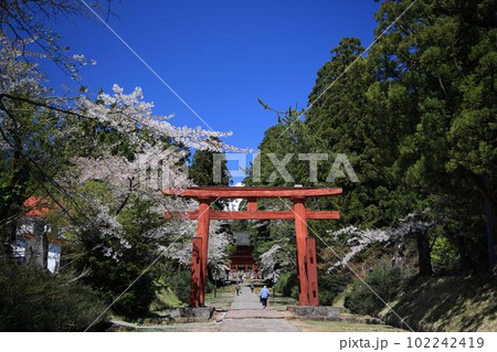 春の岩木山神社 春の岩木山神社 102242419