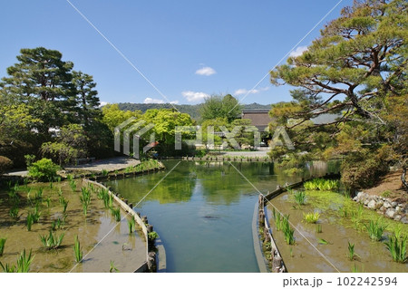 梅宮大社 102242594