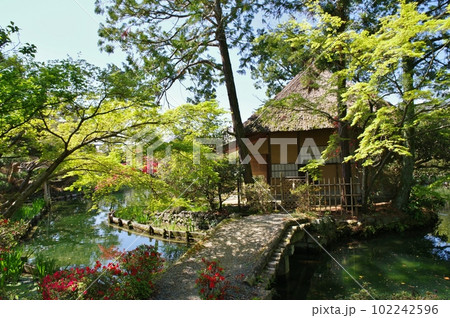 梅宮大社 102242596