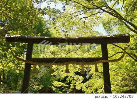 野宮神社 野宮神社 102242709