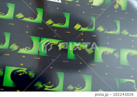 ベタ焼き ベタ焼き 102243026