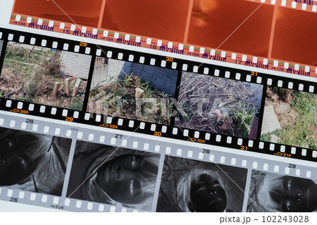 35mmフィルムの種類(カラーネガ・モノクロ・リバーサル) 102243028