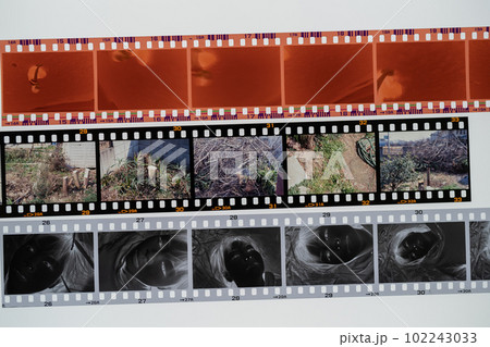 35mmフィルムの種類(カラーネガ・モノクロ・リバーサル) 102243033
