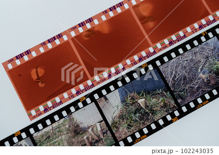 35mmカラーネガとカラーポジ 102243035