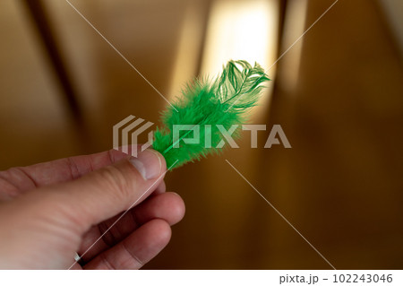 various various 102243046