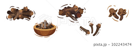Clove Aromatic Dried Spice and Seasoning Pile in Bowl Vector Set 102243474