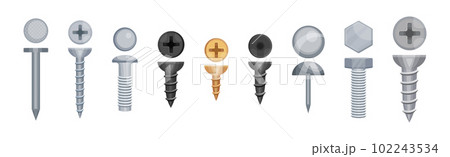 Metallic Screw and Bolt as Fastener with Helical Ridge Vector Set 102243534