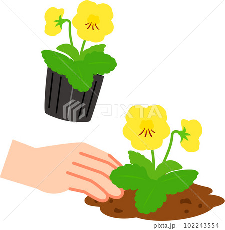 花の苗の植え付け、ガーデニング 102243554