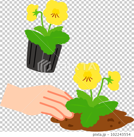 花の苗の植え付け、ガーデニング 102243554