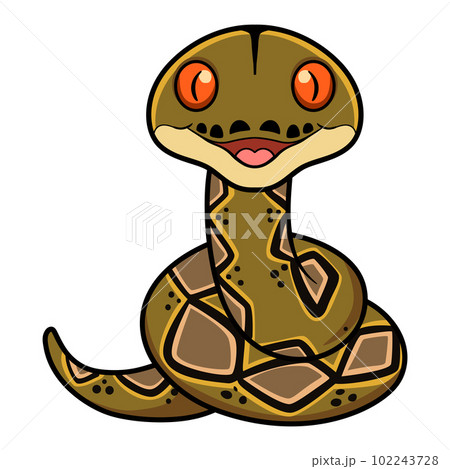 Cute happy reticulatus python cartoon  102243728