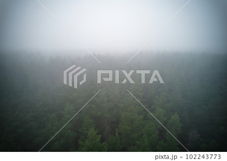 A stunning drone photo of a summer forest shrouded in thick fog. The mist creates a serene and tranquil setting, with an ethereal quality that enhances the natural beauty of the landscape. A stunning drone photo of a summer forest shrouded in thick fog. The mist creates a serene and tranquil setting, with an ethereal quality that enhances the natural beauty of the landscape. 102243773