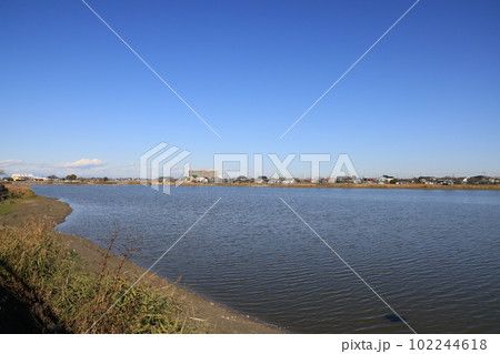埼玉県川越市の早春の伊佐沼の風景 埼玉県川越市の早春の伊佐沼の風景 102244618