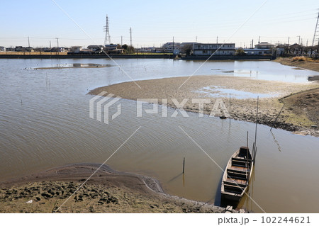 埼玉県川越市の早春の伊佐沼の風景 埼玉県川越市の早春の伊佐沼の風景 102244621