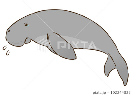 悲しむジュゴン 102244825