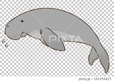悲しむジュゴン 102244825