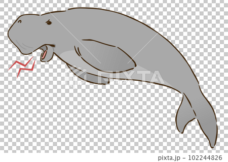 angry dugong 102244826
