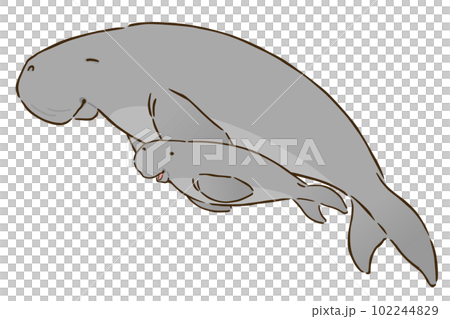 Dugong parent and child 102244829