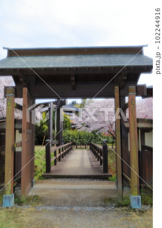 桜咲く逆井城趾ののどかな景色 102244916