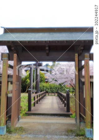 桜咲く逆井城趾ののどかな景色 桜咲く逆井城趾ののどかな景色 102244917