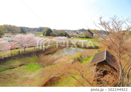 桜咲く逆井城趾ののどかな景色 桜咲く逆井城趾ののどかな景色 102244922