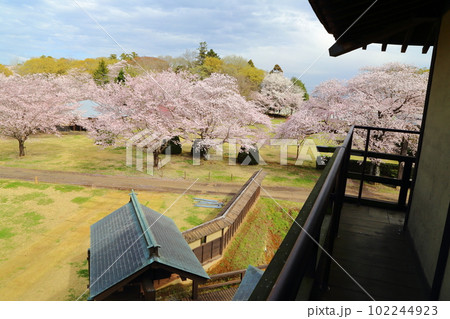 桜咲く逆井城趾ののどかな景色 桜咲く逆井城趾ののどかな景色 102244923