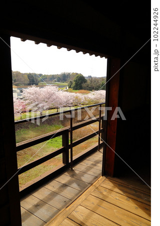 桜咲く逆井城趾ののどかな景色 102244926