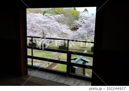 桜咲く逆井城趾ののどかな景色 桜咲く逆井城趾ののどかな景色 102244927