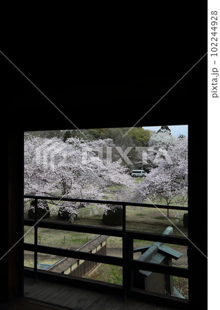 桜咲く逆井城趾ののどかな景色 102244928