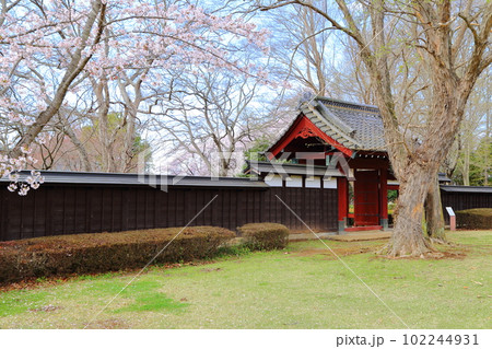桜咲く逆井城趾ののどかな景色 102244931