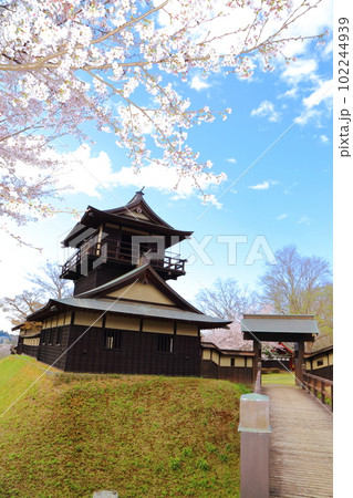 桜咲く逆井城趾ののどかな景色 桜咲く逆井城趾ののどかな景色 102244939